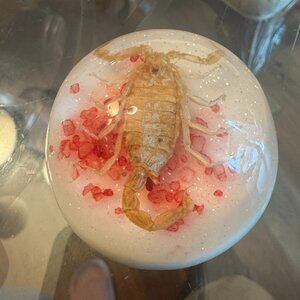 Vtg Scorpion Insect Clear Fluorescent Glitter Lucite Dome Paperweight 2.5" Felt